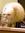 Josu Atreides