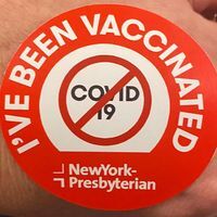 Dawn Guerin Visconti