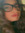 Claudia