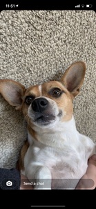 Casey