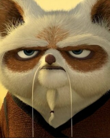 Master Shifu