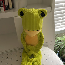 Mr. Froggie 