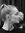 Lucie Derzelle