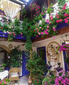 جيهان  أسامة  الخطيب