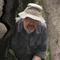 Michael Morgan