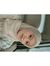 JB Jurinah