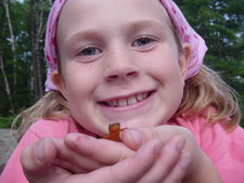Karoline  Niles