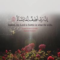Mahmud Zayed