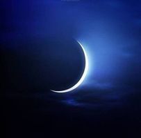 صفيه العمري