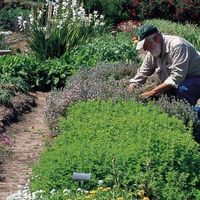 Marshall Chrostowski