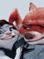 jess_7