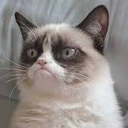 พี่มังกร หล่อระดบโลก