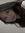 Aliah D...