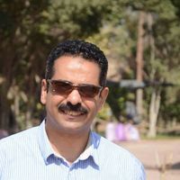 Medhat Abdulhamid