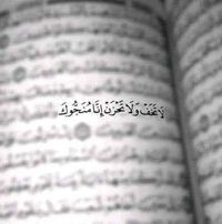 يوسف الطويل