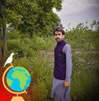 Hassan Gondal