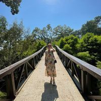 ლიკა ქურიძე