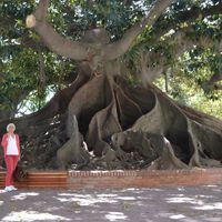 Գոհար Ջրբաշյան