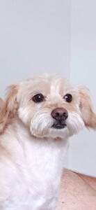 Ναταλία Γιαννούλη