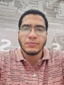 Abdullah Elsafoury