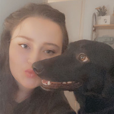 Nat thelowkeylibrary