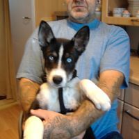 Rolf Beier-Brueckner