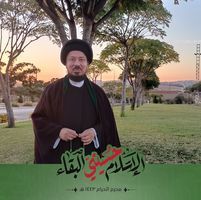 صفاء اللاوندي