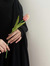 Aqila F...