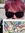 member photo member photo