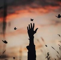 أسماء حميدو