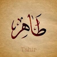 طاہر پونٹوی