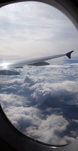 ⋆ ฺ｡ cнarlιe *: ･