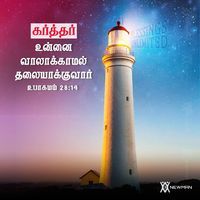 அப்பாவின் அன்பு