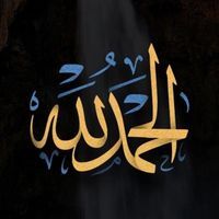 Walaa Abdel-Karim