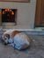 Addie I...