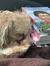 charlie :)