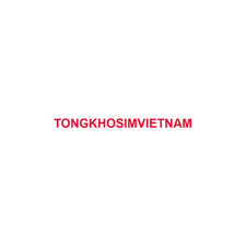 Sim So Dep TongKhoSimVietNam