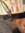 xana | 1 comments