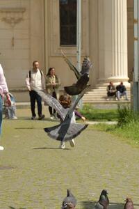 فاطمة عبدالناصر