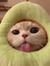 cony