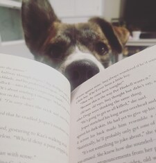 Jamie (SpayceJamReads)