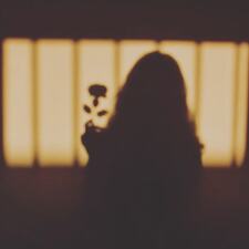 Thebookishcollection