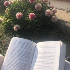 Lore_books
