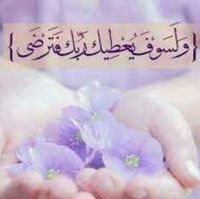 مستشار ابو الحسن محمد