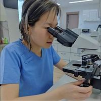 Нандин-Эрдэнэ Ч.