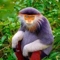 Віктор Солодчук