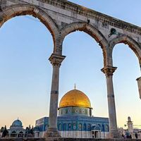 يحيى القاضي التميمي