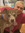 rayndeer_24