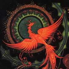 Phoenix Fire