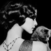 IviLendo- Always With The Cats